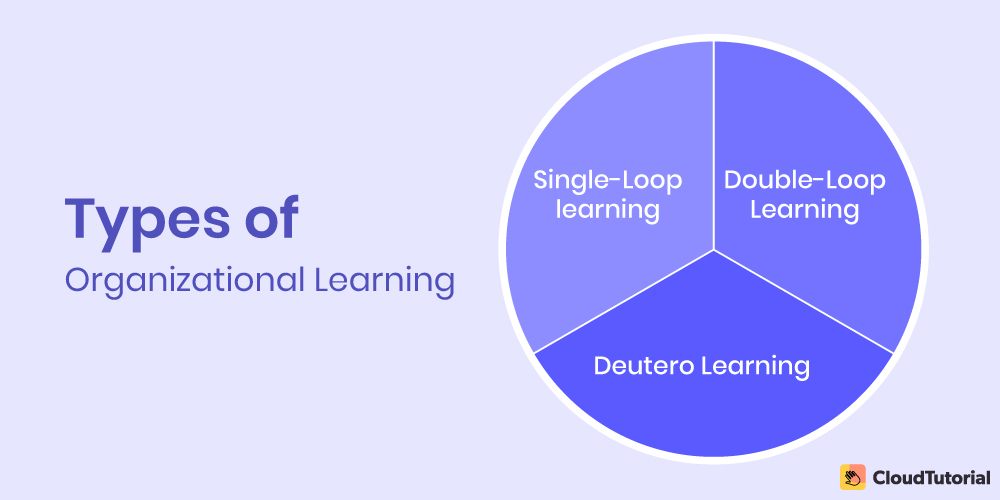 Types of Organizational Learning
